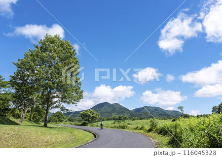 新緑・初夏のサイクリングイメージ (蒜山高原) 新緑・初夏のサイクリングイメージ (蒜山高原) 116045328