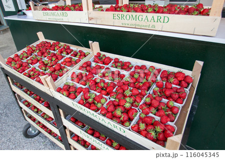 デンマーク・コペンハーゲンの初夏　いちごのワゴン 116045345