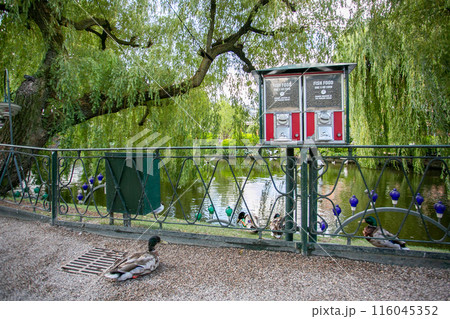 デンマーク・コペンハーゲンの初夏　池のほとり 116045352