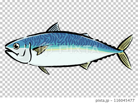 Illustration 116045477