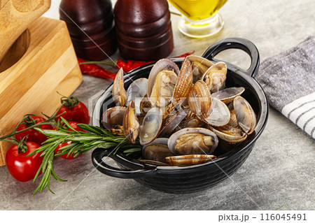 Raw vongole clams for cooking Raw vongole clams for cooking 116045491