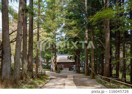 岩手県平泉町世界遺産中尊寺白山神社 岩手県平泉町世界遺産中尊寺白山神社 116045726