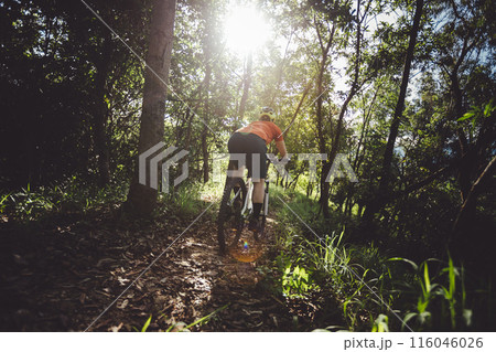 Mountain biking on spring forest trail Mountain biking on spring forest trail 116046026
