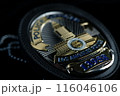 ロサンゼルス市警察の警官バッジ　 116046106