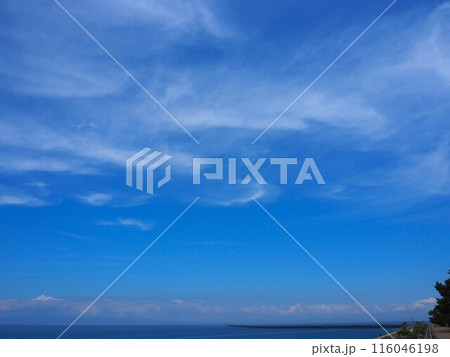 夏の海と空 116046198