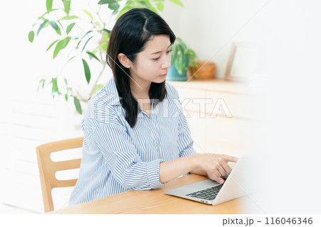 パソコン操作をする若い女性 パソコン操作をする若い女性 116046346