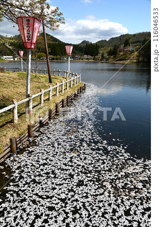 春の鶴ヶ池公園 春の鶴ヶ池公園 116046533