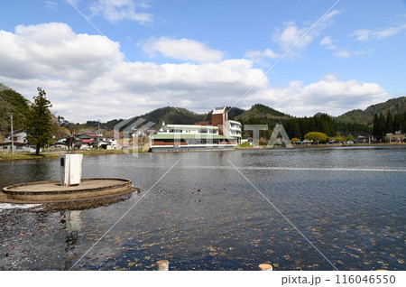 春の鶴ヶ池公園 春の鶴ヶ池公園 116046550