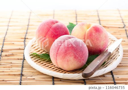 夏の果物 桃 （ 和歌山県産 もも ） 116046735