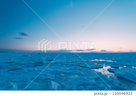 流氷押し寄せる流氷の海 116046922