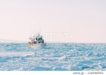 流氷の残る海に浮かぶ流氷と観光船 116046943
