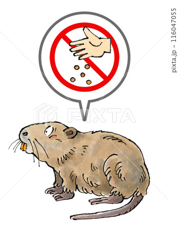 ヌートリアに餌やり禁止マーク 116047055