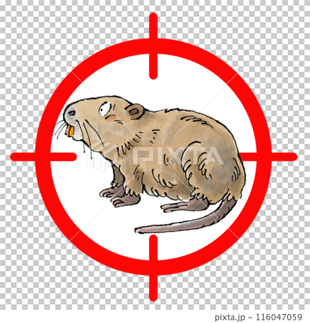 ヌートリアターゲットマーク 116047059