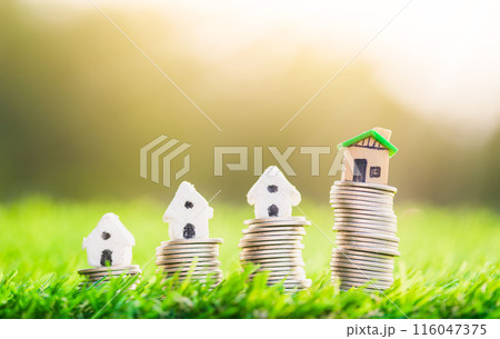 House placed on coins and coins place on the grass is ladder. planning savings money of coins to buy a home concept concept for property ladder. 116047375