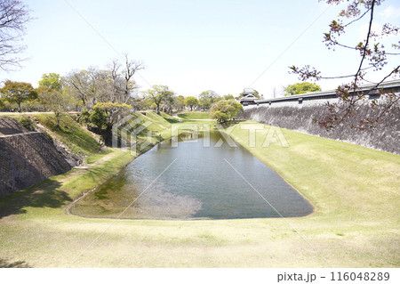 春の熊本城 隅櫓と石垣の塀  116048289