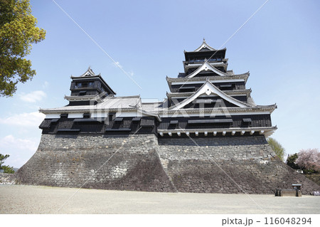 春の熊本城 大天守と小天守 春の熊本城 大天守と小天守 116048294