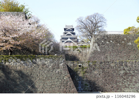 穏やかな春の日 石垣の上の熊本城を見上げる 穏やかな春の日 石垣の上の熊本城を見上げる 116048296
