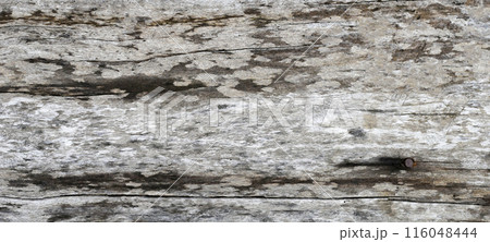 Old wood texture for background 116048444