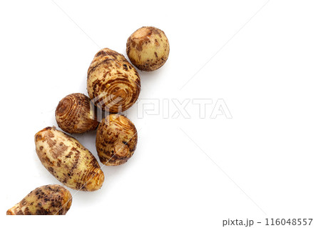 Satoimo, taro roots or japanese sweet taro 116048557