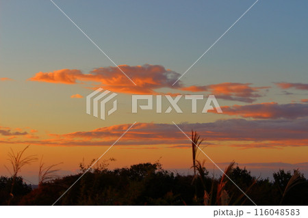 美しい夕焼け空 美しい夕焼け空 116048583