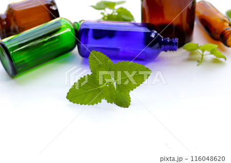 Lemon balm fresh leaves with essential oil bottle Lemon balm fresh leaves with essential oil bottle 116048620