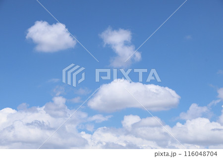 夏の青空と白い雲 116048704
