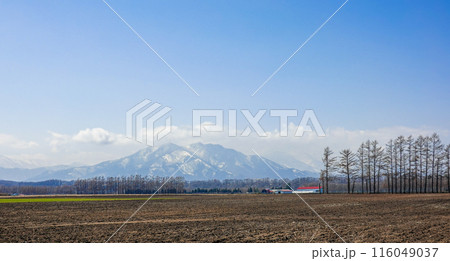 十勝平野から日高山脈（北海道芽室町） 116049037