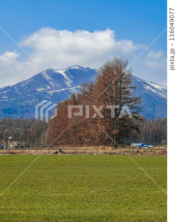 十勝平野から日高山脈(北海道芽室町) 十勝平野から日高山脈(北海道芽室町) 116049077
