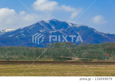 十勝平野から日高山脈（北海道芽室町） 116049079