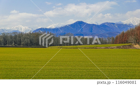十勝平野から日高山脈（北海道芽室町） 116049081