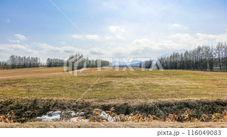 十勝平野から日高山脈(北海道芽室町) 十勝平野から日高山脈(北海道芽室町) 116049083
