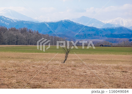 十勝平野から日高山脈（北海道芽室町） 116049084