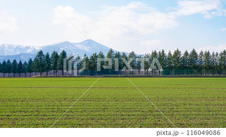 十勝平野から日高山脈（北海道芽室町） 116049086