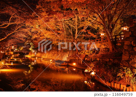 ライトアップされた滋賀県近江八幡 八幡堀の紅葉 ライトアップされた滋賀県近江八幡 八幡堀の紅葉 116049759