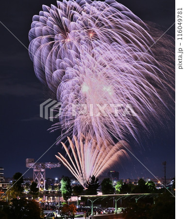 旧横浜港駅とハンマーヘッドと花火 116049781