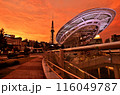 オアシス21のライトアップと夕日 116049787