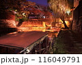 ライトアップされた滋賀県近江八幡 八幡堀の紅葉 116049791