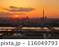 タワーホール船堀から見るサンセット 116049793