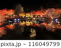 伊豆 修善寺虹の郷もみじライトアップ 116049799