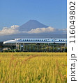 新幹線と富士山と田んぼの風景 116049802