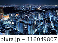 川崎市役所本庁舎の夜景 116049807