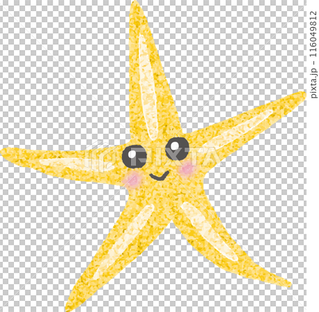 可愛的海星手繪風格插畫 可愛的海星手繪風格插畫 116049812
