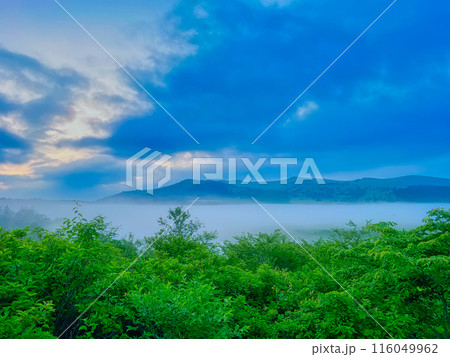 八島湿原の朝 116049962