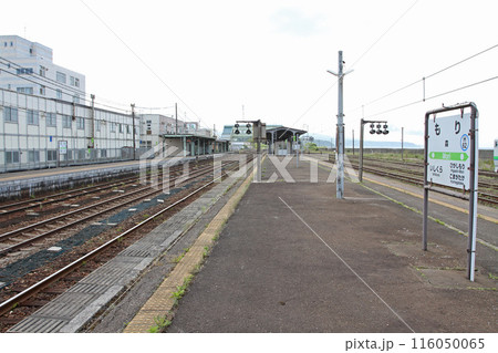 森駅 JR森駅 もり Mori H62 函館本線 いかめし 森駅 JR森駅 もり Mori H62 函館本線 いかめし 116050065