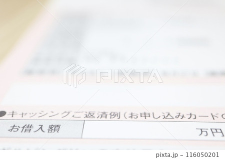 キャッシングの返済額に関する書類 キャッシングの返済額に関する書類 116050201