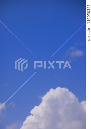 雲のある青空 (背景素材) 雲のある青空 (背景素材) 116050348