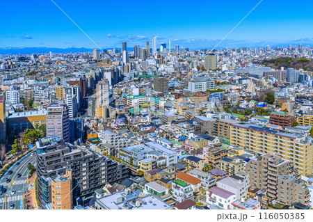 日本の東京都市景観 東京・池袋、サンシャイン60やタワーマンションなどを望む 116050385