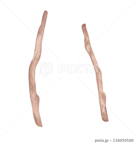 Wooden branch. Watercolor illustration. Object made of tree branches with texture. Nature design clipart. Hand drawn isolated art. Eco decor from sticks for rustic or botanical projects. Wooden branch. Watercolor illustration. Object made of tree branches with texture. Nature design clipart. Hand drawn isolated art. Eco decor from sticks for rustic or botanical projects. 116050580