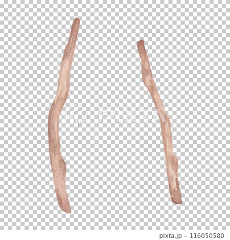 Wooden branch. Watercolor illustration. Object made of tree branches with texture. Nature design clipart. Hand drawn isolated art. Eco decor from sticks for rustic or botanical projects. Wooden branch. Watercolor illustration. Object made of tree branches with texture. Nature design clipart. Hand drawn isolated art. Eco decor from sticks for rustic or botanical projects. 116050580