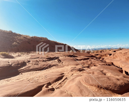 赤砂の絨毯 116050635